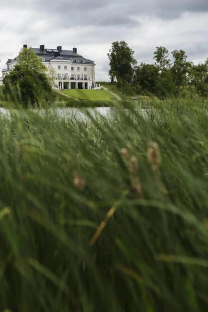 Pałac Komierowo, eksluzywne wnętrza, komfortowy wypoczynek, wyjazdy jogowe, relaks, Yoga Retreatment